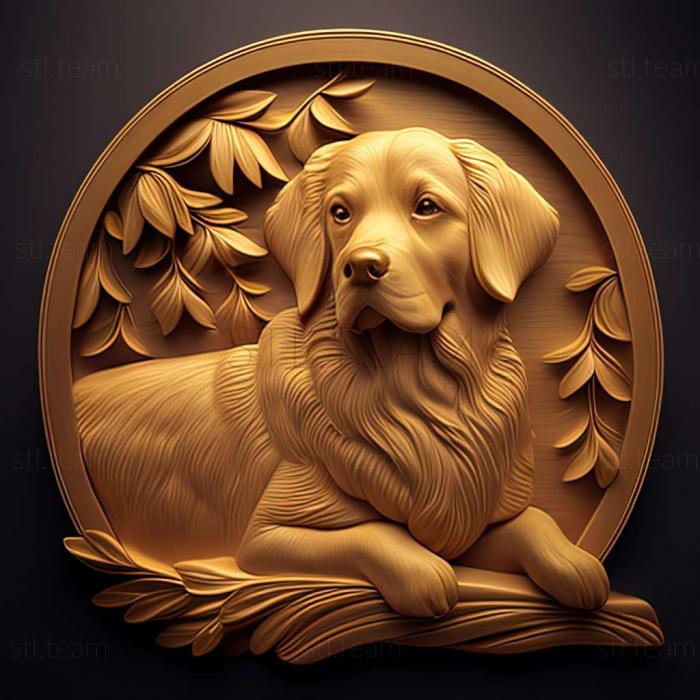 golden retriever